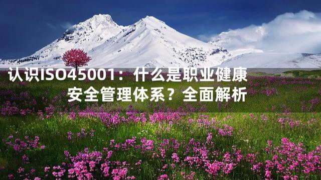 认识ISO45001：什么是职业健康安全管理体系？全面解析