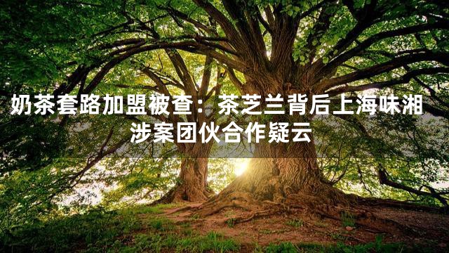 奶茶套路加盟被查：茶芝兰背后上海味湘涉案团伙合作疑云