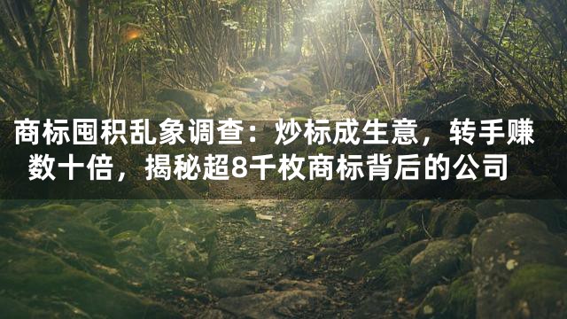 商标囤积乱象调查：炒标成生意，转手赚数十倍，揭秘超8千枚商标背后的公司