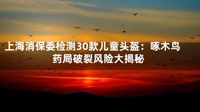 上海消保委检测30款儿童头盔：啄木鸟药局破裂风险大揭秘