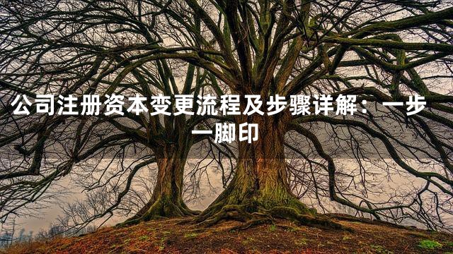 公司注册资本变更流程及步骤详解：一步一脚印