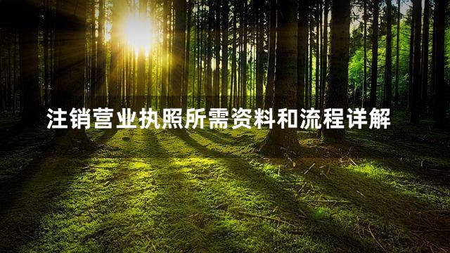 注销营业执照所需资料和流程详解