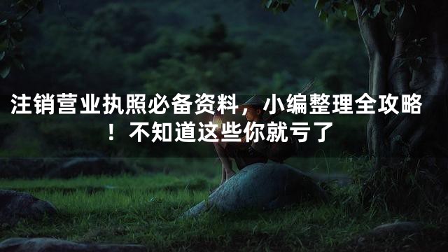 注销营业执照必备资料，小编整理全攻略！不知道这些你就亏了