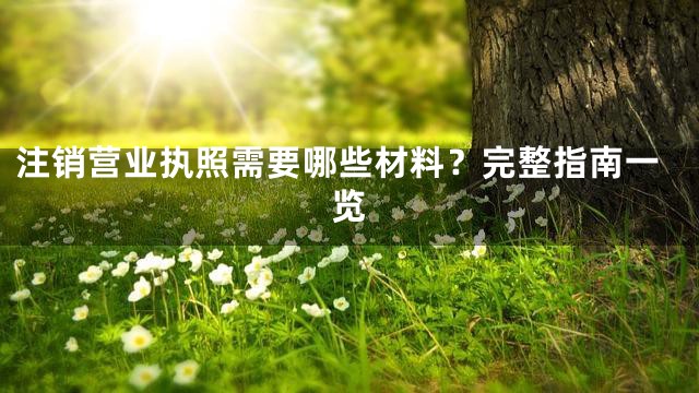 注销营业执照需要哪些材料？完整指南一览