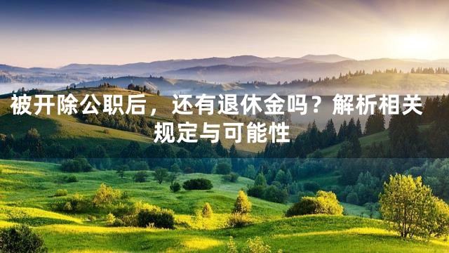 被开除公职后，还有退休金吗？解析相关规定与可能性