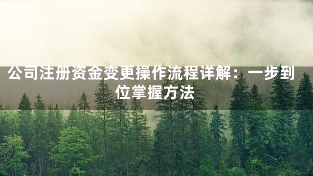 公司注册资金变更操作流程详解：一步到位掌握方法