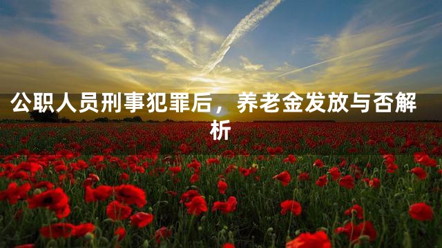 公职人员刑事犯罪后，养老金发放与否解析