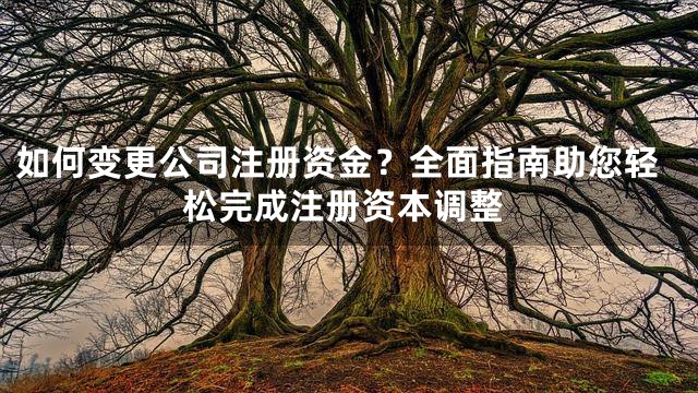 如何变更公司注册资金？全面指南助您轻松完成注册资本调整