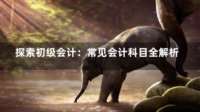 探索初级会计：常见会计科目全解析