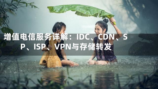 增值电信服务详解：IDC、CDN、SP、ISP、VPN与存储转发