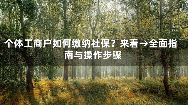 个体工商户如何缴纳社保？来看→全面指南与操作步骤