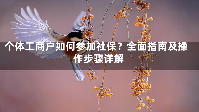 个体工商户如何参加社保？全面指南及操作步骤详解
