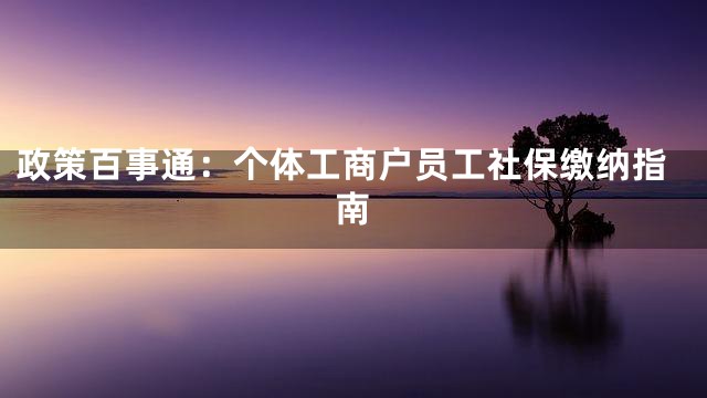 政策百事通：个体工商户员工社保缴纳指南