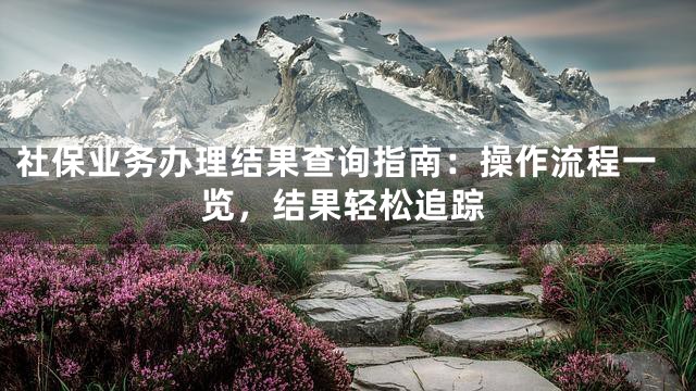 社保业务办理结果查询指南：操作流程一览，结果轻松追踪