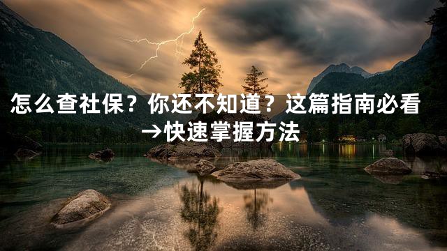 怎么查社保？你还不知道？这篇指南必看→快速掌握方法