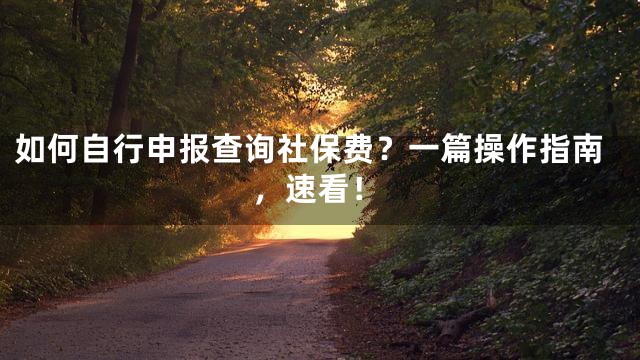 如何自行申报查询社保费？一篇操作指南，速看！