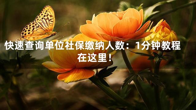 快速查询单位社保缴纳人数：1分钟教程在这里！