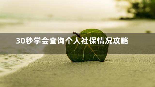 30秒学会查询个人社保情况攻略