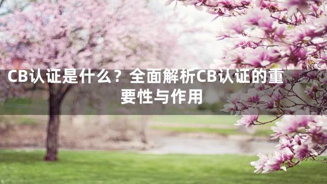 CB认证是什么？全面解析CB认证的重要性与作用