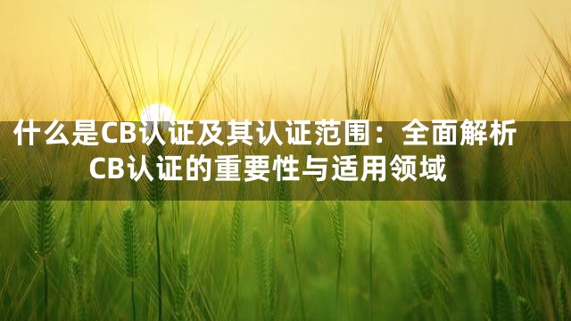 什么是CB认证及其认证范围：全面解析CB认证的重要性与适用领域