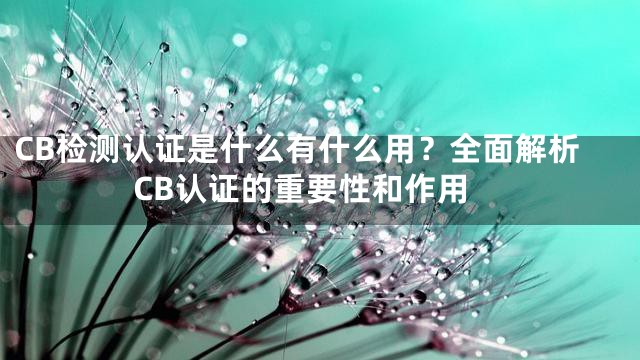 CB检测认证是什么有什么用？全面解析CB认证的重要性和作用