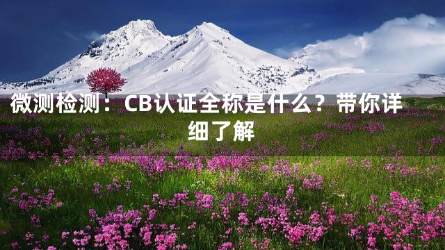 微测检测：CB认证全称是什么？带你详细了解