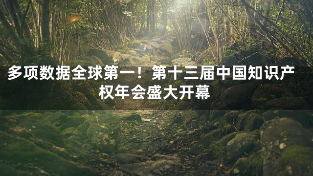 多项数据全球第一！第十三届中国知识产权年会盛大开幕