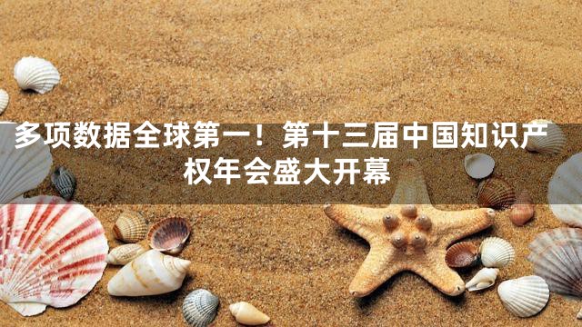 多项数据全球第一！第十三届中国知识产权年会盛大开幕