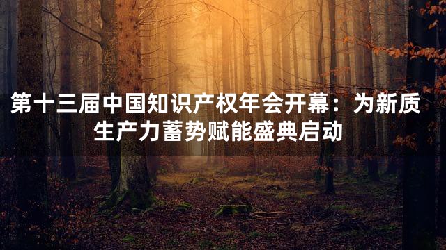第十三届中国知识产权年会开幕：为新质生产力蓄势赋能盛典启动