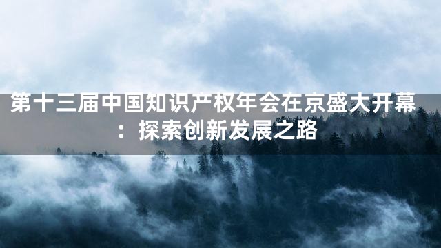 第十三届中国知识产权年会在京盛大开幕：探索创新发展之路