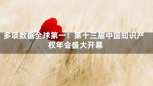 多项数据全球第一！第十三届中国知识产权年会盛大开幕