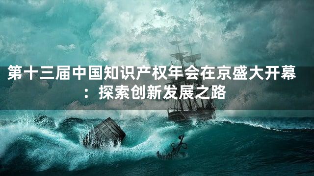 第十三届中国知识产权年会在京盛大开幕：探索创新发展之路