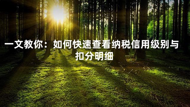 一文教你：如何快速查看纳税信用级别与扣分明细