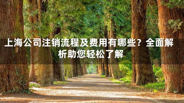 上海公司注销流程及费用有哪些？全面解析助您轻松了解