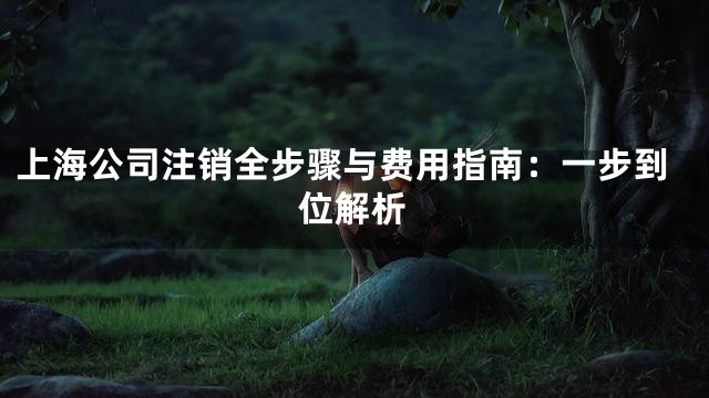 上海公司注销全步骤与费用指南：一步到位解析