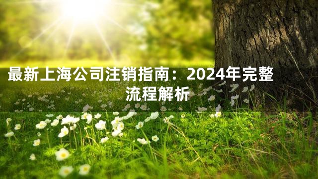 最新上海公司注销指南：2024年完整流程解析