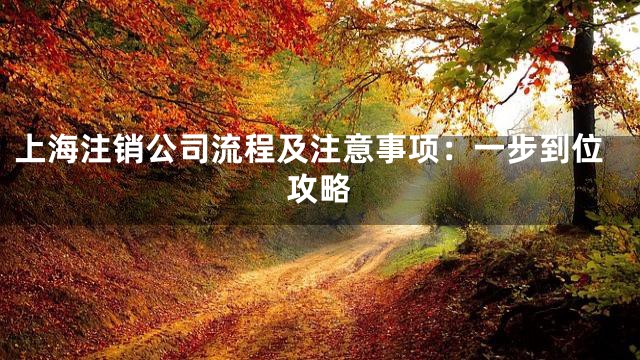 上海注销公司流程及注意事项：一步到位攻略