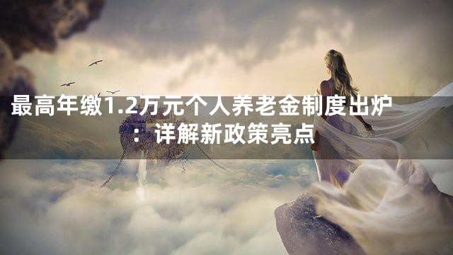 最高年缴1.2万元个人养老金制度出炉：详解新政策亮点