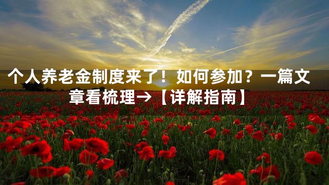 个人养老金制度来了！如何参加？一篇文章看梳理→【详解指南】