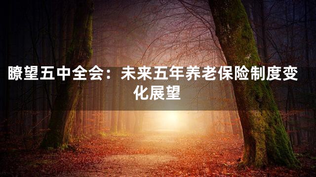 瞭望五中全会：未来五年养老保险制度变化展望