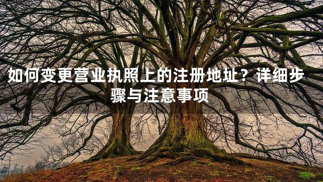 如何变更营业执照上的注册地址？详细步骤与注意事项
