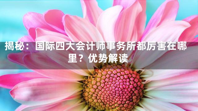 揭秘：国际四大会计师事务所都厉害在哪里？优势解读