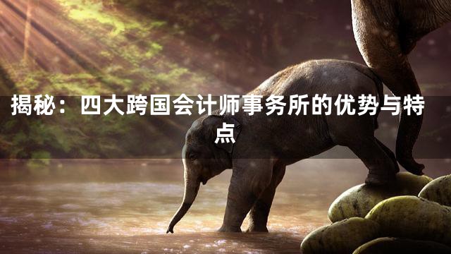 揭秘：四大跨国会计师事务所的优势与特点
