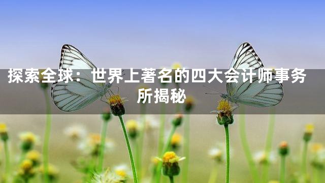 探索全球：世界上著名的四大会计师事务所揭秘
