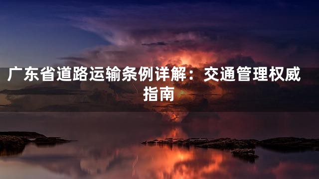 广东省道路运输条例详解：交通管理权威指南