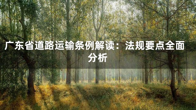 广东省道路运输条例解读：法规要点全面分析