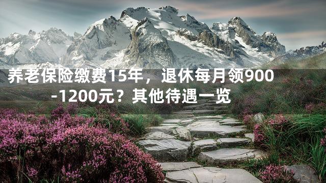 养老保险缴费15年，退休每月领900-1200元？其他待遇一览