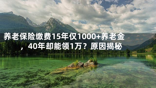养老保险缴费15年仅1000+养老金，40年却能领1万？原因揭秘