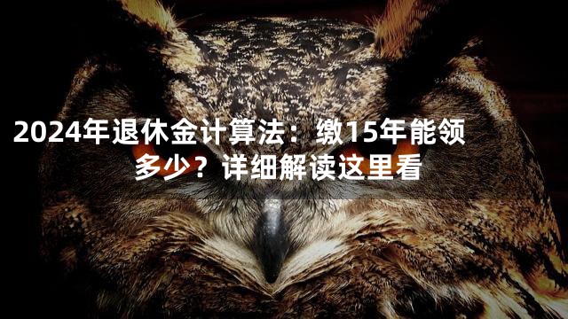2024年退休金计算法：缴15年能领多少？详细解读这里看