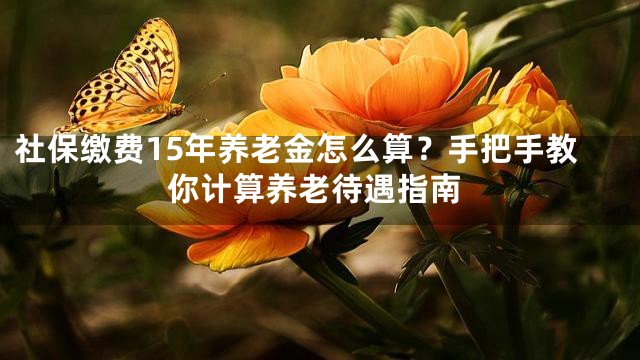 社保缴费15年养老金怎么算？手把手教你计算养老待遇指南